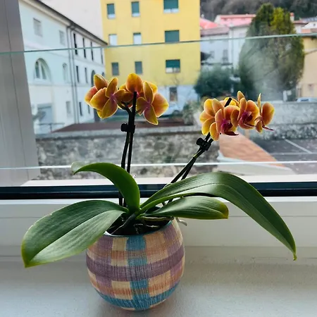 شقة A Casa Di Angelica